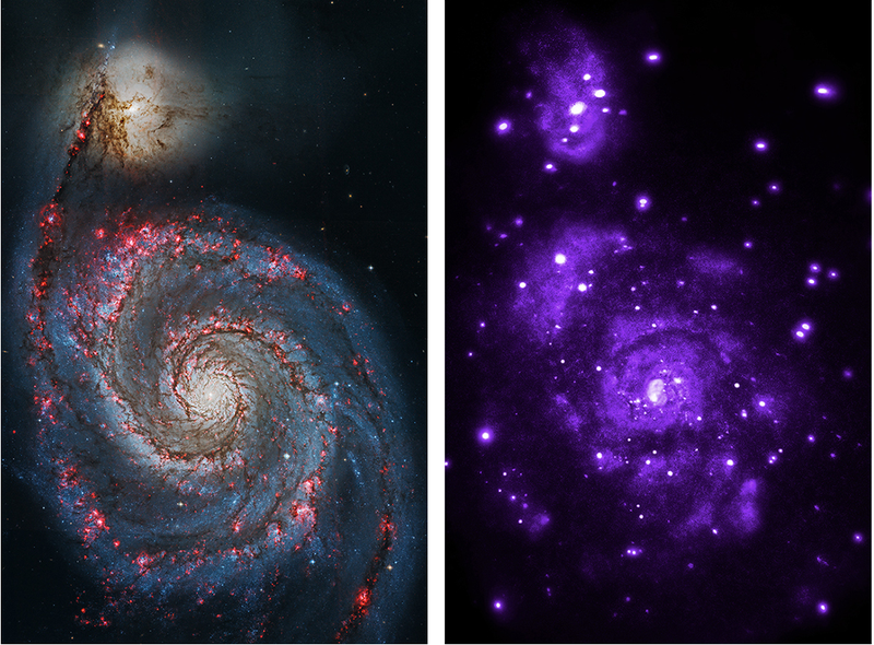 Illustration for article titled Black Holes and Neutron Stars in the Whirlpool Galaxy